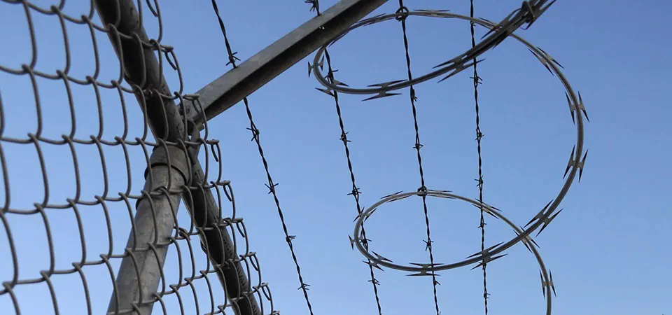 Egoza Trademark and Our Expertise